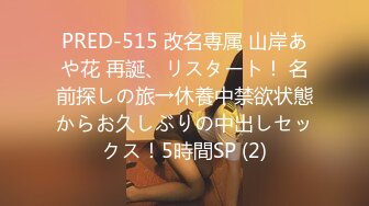 PRED-515 改名専属 山岸あや花 再誕、リスタート！ 名前探しの旅→休養中禁欲状態からお久しぶりの中出しセックス！5時間SP (2)