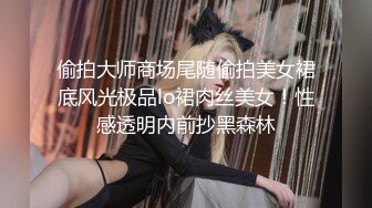 偷拍大师商场尾随偷拍美女裙底风光极品lo裙肉丝美女！性感透明内前抄黑森林