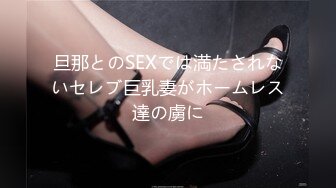 旦那とのSEXでは満たされないセレブ巨乳妻がホームレス達の虜に