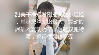 甜美干净短发刚播美女小姐姐，单腿黑丝超嫩粉穴，震动假屌插入震动阴蒂，翘起双腿特写，搞得很爽很享受