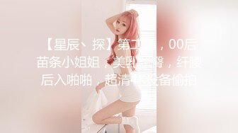 【星辰丶探】第二场，00后苗条小姐姐，美乳翘臀，纤腰后入啪啪，超清4K设备偷拍