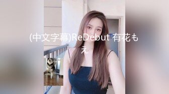 (中文字幕)ReDebut 有花もえ