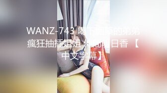 WANZ-743 喝下媚藥的弟弟瘋狂抽插姐姐 仲間明日香 【中文字幕】