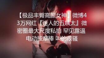 【极品丰臀高颜女神】微博43万网红『迷人的五姨太』微密圈最大尺度私拍 罕见露逼 电动按摩棒 叫的很骚