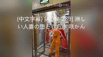 (中文字幕) [ADN-289] 淋しい人妻の堕とし方 美咲かんな