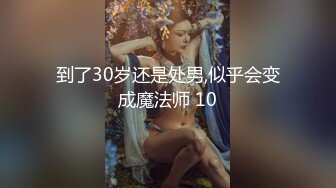 到了30岁还是处男,似乎会变成魔法师 10