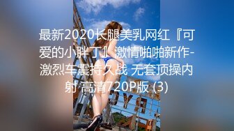 最新2020长腿美乳网红『可爱的小胖丁』激情啪啪新作-激烈车震持久战 无套顶操内射 高清720P版 (3)